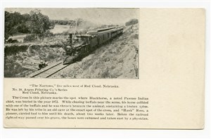 Image description is not available for PHO-264-657